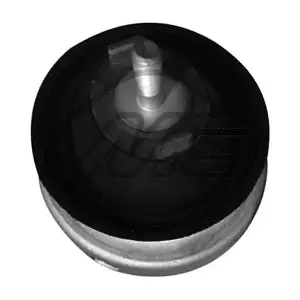 56042 Metalcaucho