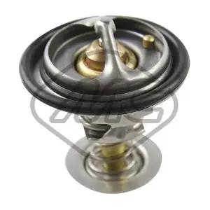 30921 Metalcaucho