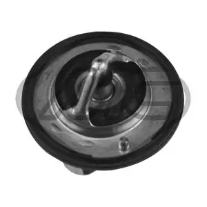 31276 Metalcaucho