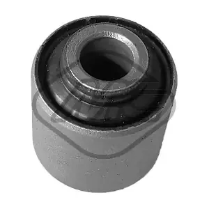 58095 Metalcaucho