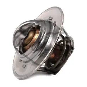 30968 Metalcaucho