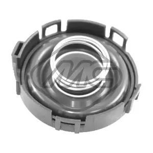 48791 Metalcaucho