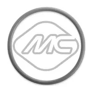 79330 Metalcaucho