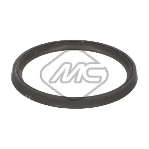 79631 Metalcaucho