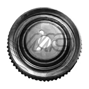 40805 Metalcaucho