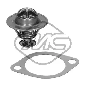 30893 Metalcaucho
