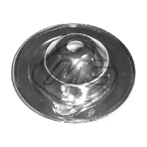 55442 Metalcaucho