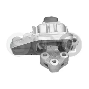 T404646 STC