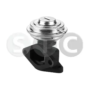 T493061 STC