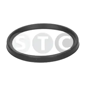 T479281 STC