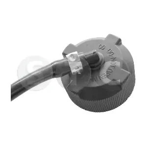 T431631 STC