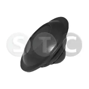 T493875 STC