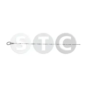 T439243 STC