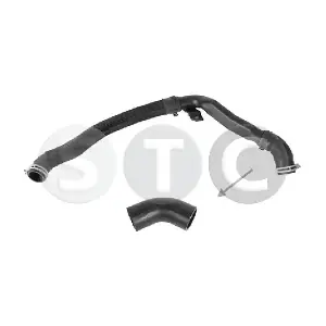 STC T494818