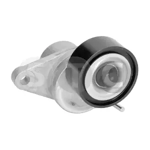 T449646 STC