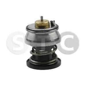 STC T431319