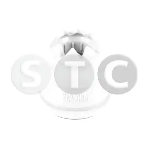 STC T440618