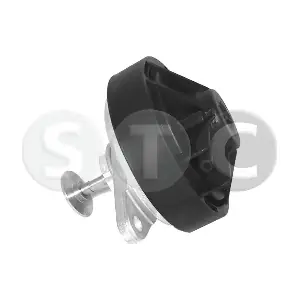 T493039 STC