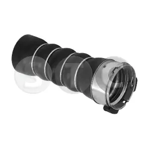 T479778 STC