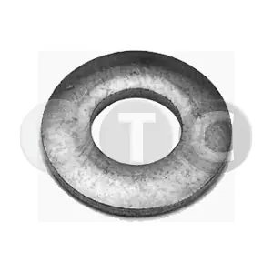 T439596 STC