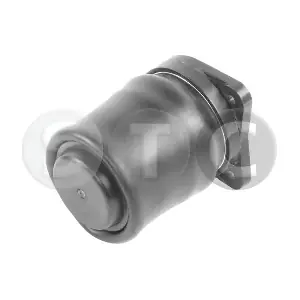 T442963 STC