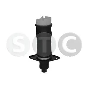 T442984 STC