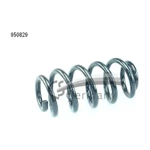 950829 CS Germany