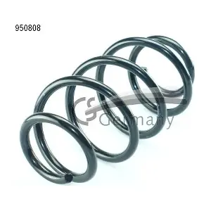 950808 CS Germany