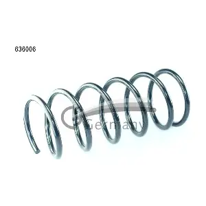 636006 CS Germany