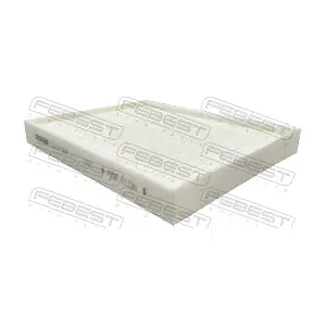 1243-006 FEBEST