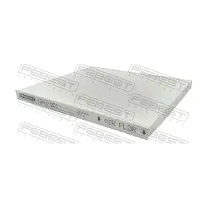 1243-001 FEBEST