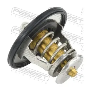FEBEST 01462-002
