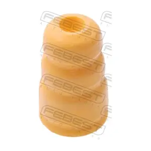 CHD-CAPR FEBEST