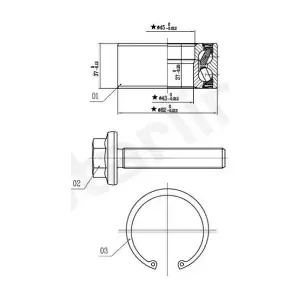 STARLINE LO01356