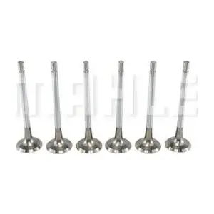 VE0480194 METAL LEVE