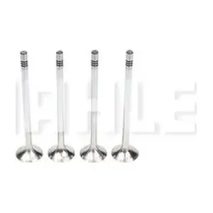 VE0481564 METAL LEVE