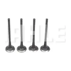 VE2081553 METAL LEVE