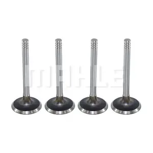 VA0590066 METAL LEVE