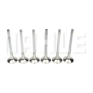 VE0481437 METAL LEVE