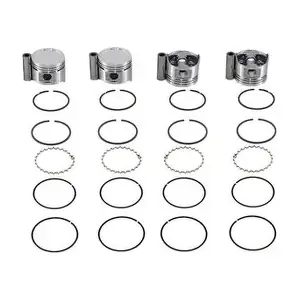 P&A2185 METAL LEVE