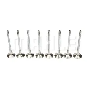 VE0700243 METAL LEVE