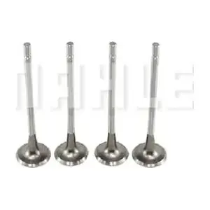 VE0180125 METAL LEVE
