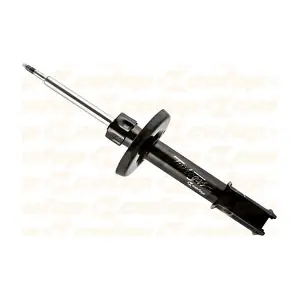 GP30112 COFAP