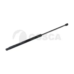 22969 OSSCA