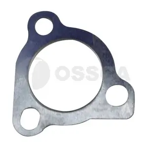 25232 OSSCA