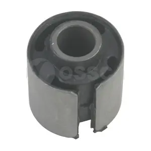 21978 OSSCA