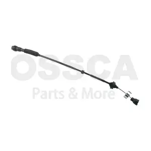 57591 OSSCA