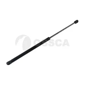 22919 OSSCA