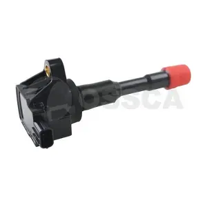 08037 OSSCA