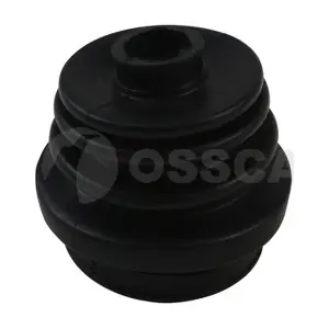 12763 OSSCA